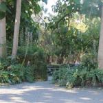 Avoca Park - Goulburn Accommodation 0