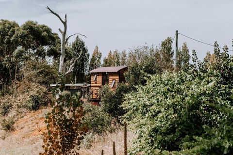 Belmont Homestead - Goulburn Accommodation 3