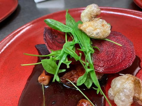 Aloft Boutique Accommodation - Goulburn Accommodation 2