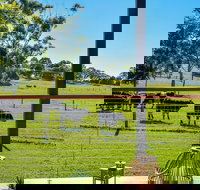 Curra Homestead Maleny - Goulburn Accommodation