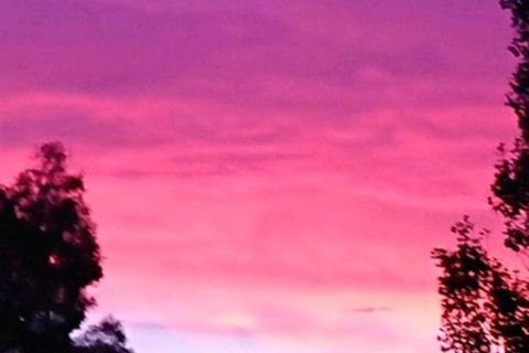 Abelia BIG SPA NO 1 Cottage - Goulburn Accommodation 6