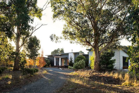 Arya - Goulburn Accommodation 1