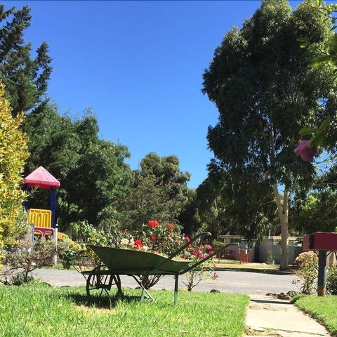 Acacia Caravan Park - Goulburn Accommodation 6