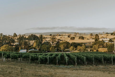 The Cottage At 3 Willows Vineyard - Goulburn Accommodation 7