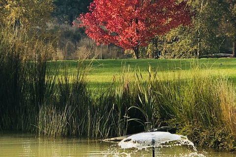 The Cottage At 3 Willows Vineyard - Goulburn Accommodation 5