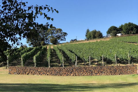 The Cottage At 3 Willows Vineyard - Goulburn Accommodation 6