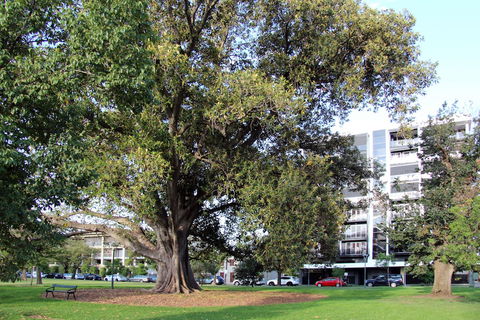 Adelaide Central Apartment - 3BR, 2Bath & Carpark - Goulburn Accommodation 1
