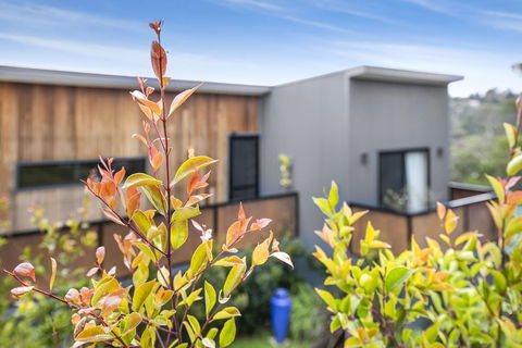 Pretty Haven - Goulburn Accommodation 0