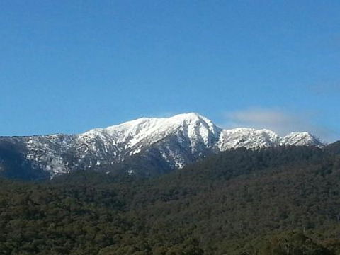 Alps Lodge - Goulburn Accommodation 4