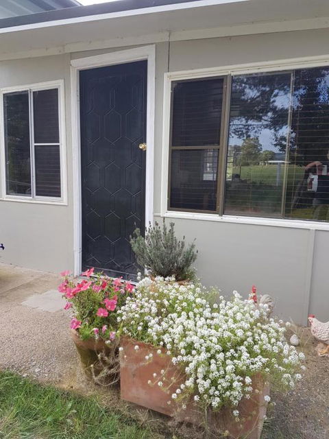 Happy Pig Farm - Goulburn Accommodation 2