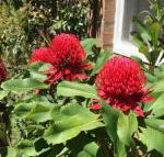 The Summit House - Goulburn Accommodation
