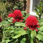 The Summit House - Goulburn Accommodation 0