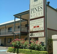 Armidale Pines Motel - Goulburn Accommodation