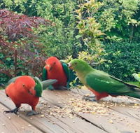 Crimson Villa - Goulburn Accommodation