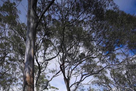 Rocky Hills Retreat - Goulburn Accommodation 7