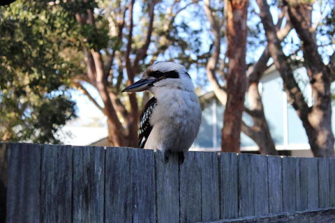POINT BREAK WEEKLY ONLY - Goulburn Accommodation 2