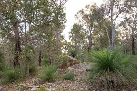 A Hidden Bush Delight - Goulburn Accommodation 6