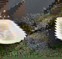 William Hunts Retreat Cypress Studio - Goulburn Accommodation