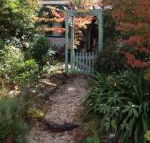Lemon Tree Cottage - Goulburn Accommodation