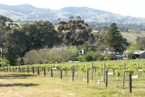 Archery Road Estate - Goulburn Accommodation 0
