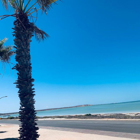 Bay Lodge - Goulburn Accommodation 2