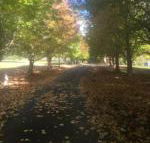 A peaceful cabin in the country - Goulburn Accommodation