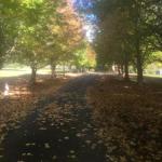 A Peaceful Cabin In The Country - Goulburn Accommodation 0