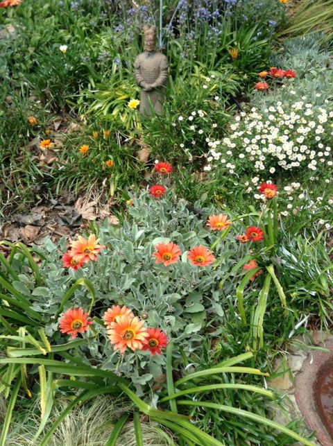 Adelaide Hills B & B Accommodation - Goulburn Accommodation 2