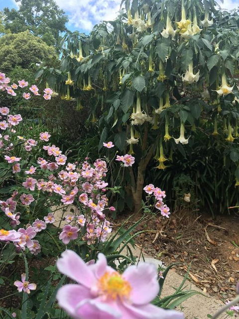 Adelaide Hills B & B Accommodation - Goulburn Accommodation 6