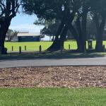 Yaringa Cottage...by The Sea - Goulburn Accommodation 0