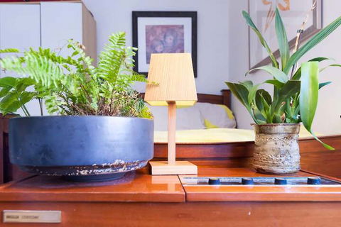 Beautiful Lush & Green Oasis Studio Apartment - Goulburn Accommodation 6
