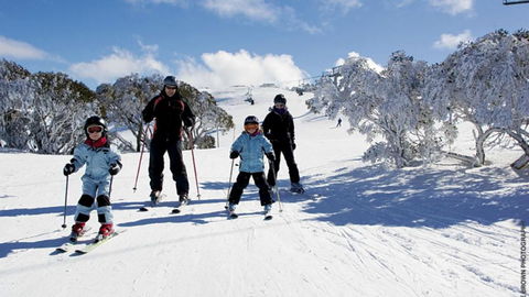 East 302 St. Falls - Goulburn Accommodation 5