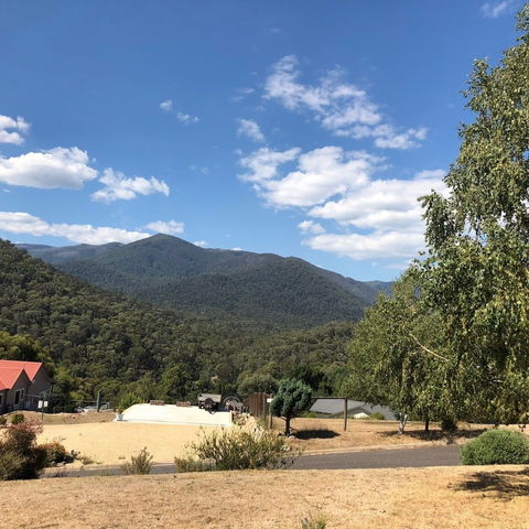 Alpine Stag Lodge House - Goulburn Accommodation 5