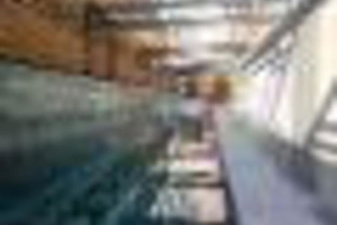 Amazing Lake View Apartment AtAlber Park  - Goulburn Accommodation 6