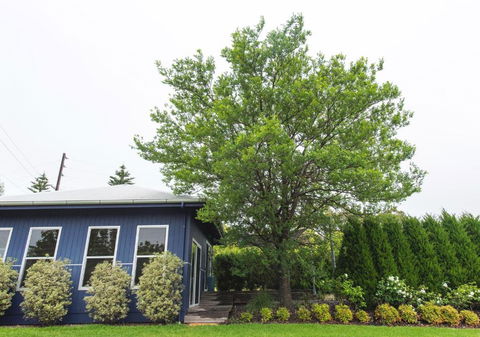 Studio 22 - Goulburn Accommodation 4