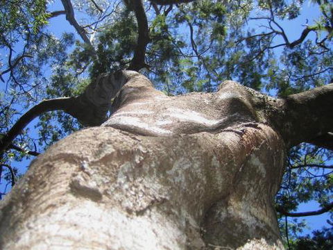 Arthur Riverfront & Sea Lodge Downstream - Goulburn Accommodation 4