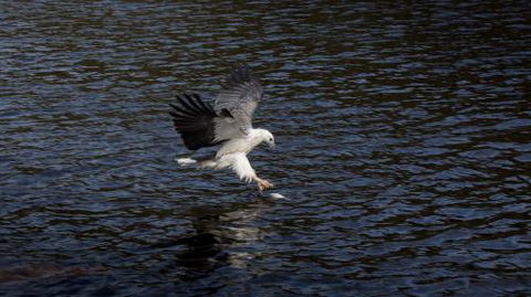 Arthur Riverfront & Sea Lodge Downstream - Goulburn Accommodation 3