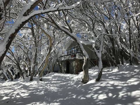 Amber Lodge Mt Buller - Hostel - Goulburn Accommodation 2