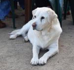 Nazaaray Beach House - Goulburn Accommodation