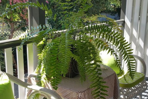 Elindale House Bed & Breakfast - Goulburn Accommodation 4