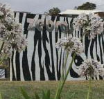 Zebras Guest House - Goulburn Accommodation