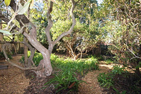 Stonewall Cottage For Two With Fireplace - Goulburn Accommodation 2
