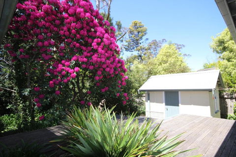 Stonewall Cottage For Two With Fireplace - Goulburn Accommodation 5