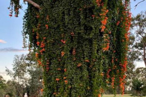Amarina Farm Stay & Gardens - Goulburn Accommodation 6