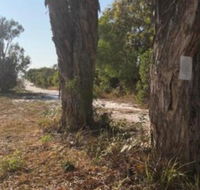 COONARR BEACH  BUNDABERG CAMPING - Goulburn Accommodation