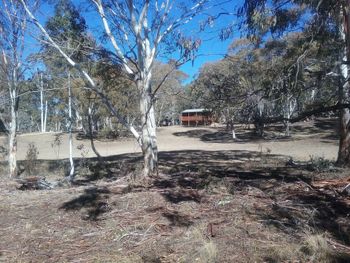 Gooandra Alpine Cabins - Goulburn Accommodation 6