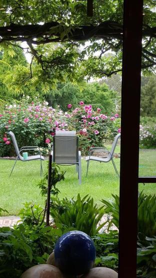 Wisteria Lodge - Goulburn Accommodation 5