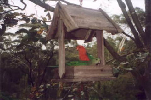 Arcadia Cottage - Goulburn Accommodation 2