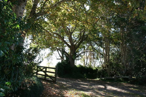 Maleny Mountain Retreat - Goulburn Accommodation 0