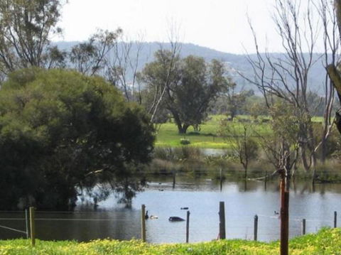 Armadale Farmstay Bed & Breakfast - Goulburn Accommodation 4
